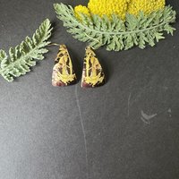 Triangle Datura Lefèvre Tin Earrings
