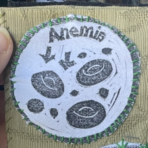 Anemia Patch